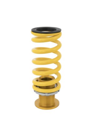 Honda Civic Type R Coilover Suspension Kit - Ohlins - Road & Track - `17-`21